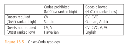 Onset Coda Typology