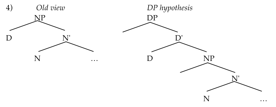 DP Hypothesis