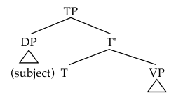 Tense Phrase structure